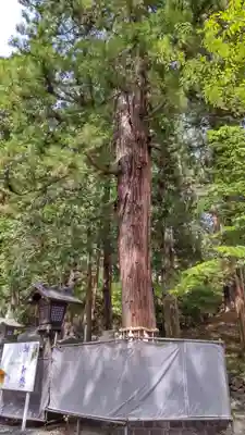 諏訪大社下社春宮(長野県)