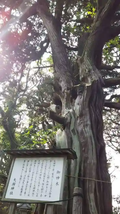 大瀬神社のその他建物