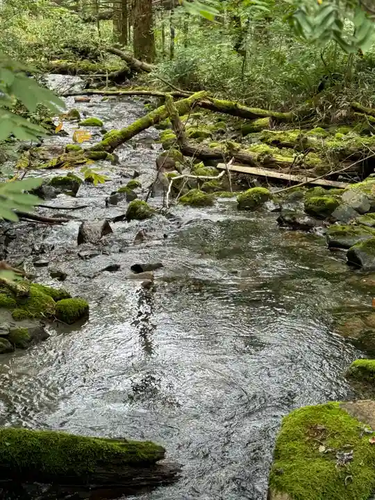 穂高神社奥宮の自然