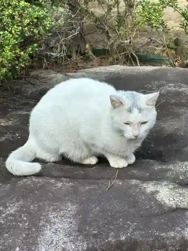 白島稲荷神社(広島県)