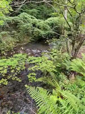 日吉大社の周辺