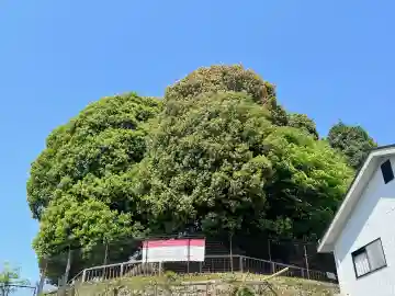頭塔(奈良県)