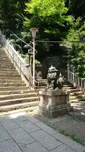 愛宕神社の狛犬