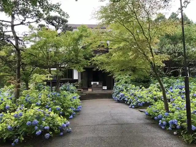 雲昌寺の建物その他