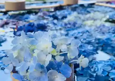 土津神社|こどもと出世の神さまの手水舎