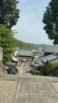 白國神社の{uncategorized: "未分類", other: "その他", undefined: "問題あり", building: "その他建物", grave: "お墓", sacred_gate: "鳥居", guardian: "狛犬", statue: "像", buddha: "仏像", history: "歴史", nature: "自然", garden: "庭園", animal: "動物", pagoda: "塔", temizu: "手水舎", mountain_gate: "山門・神門", sanctuary: "本殿・本堂", subordinate: "末社・摂社", art: "芸術", scenery: "景色", jizo: "地蔵", ema: "絵馬", goshuin: "御朱印", omikuji: "おみくじ", items: "授与品その他", amulet: "お守り", goshuincho: "御朱印帳", eats: "食事", festival: "お祭り", votive_dance: "神楽", shichigosan: "七五三参", wedding: "結婚式", experience: "体験その他", initially: "初詣", around: "周辺", anti_infection: "感染症対策"}
