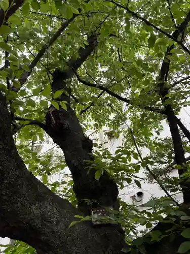 猿江神社(東京都)