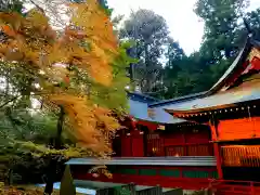 富士山東口本宮 冨士浅間神社の本殿