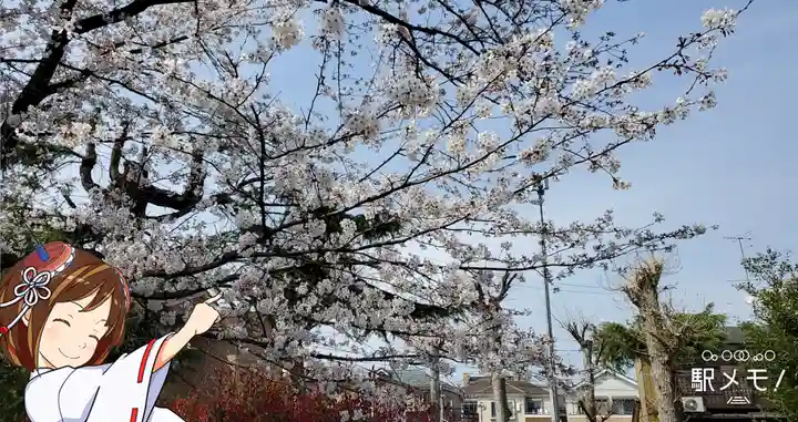 興之宮神社の自然
