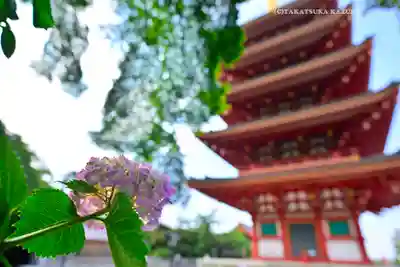 高幡不動尊　金剛寺(東京都)
