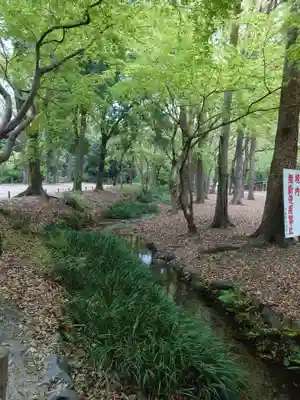 賀茂御祖神社（下鴨神社）のその他建物