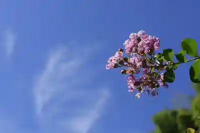 當麻寺中之坊(奈良県)