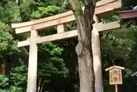 明治神宮(東京都)