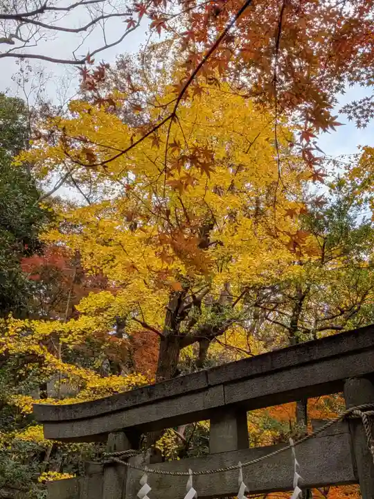 赤坂氷川神社(東京都)