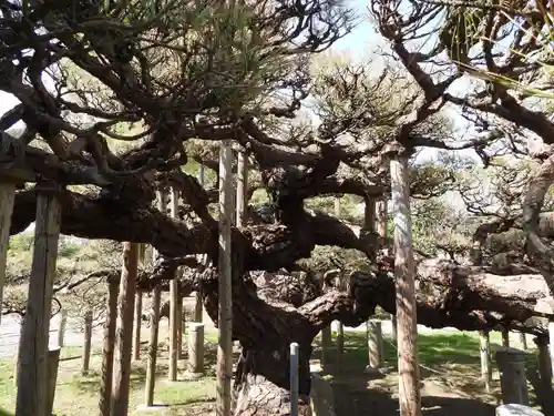 満光寺(長野県)
