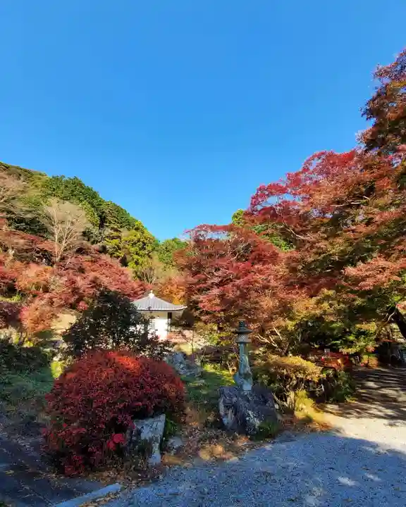 普門寺(切り絵御朱印発祥の寺)の自然
