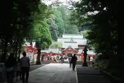 霧島神宮(鹿児島県)