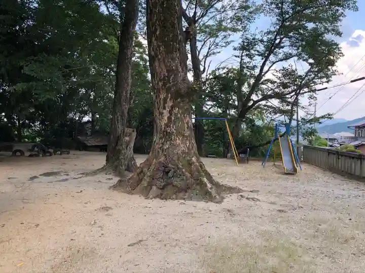 長柄神社の自然