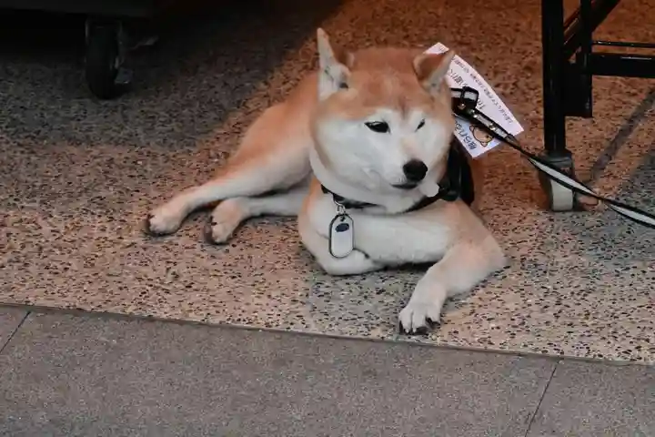 善光寺(長野県)