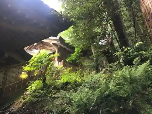 度津神社の本殿