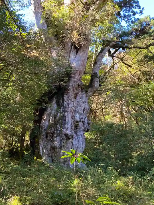 木魂神社(鹿児島県)
