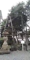 若宮神社(三嶋大社元摂社)(静岡県)