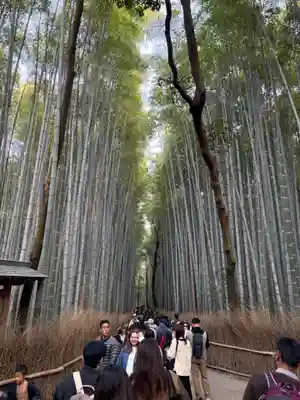 野宮神社(京都府)