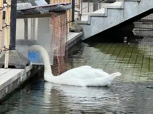 頂法寺（六角堂）(京都府)