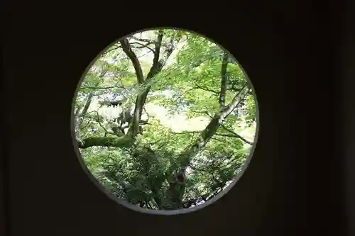 善法律寺(京都府)