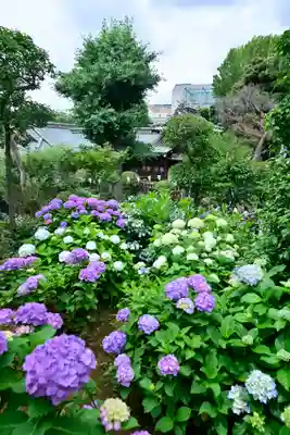 白山神社(東京都)