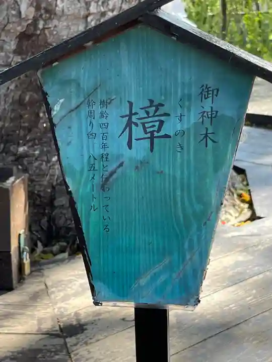 平野神社(京都府)