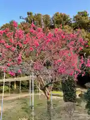 大生郷天満宮の自然