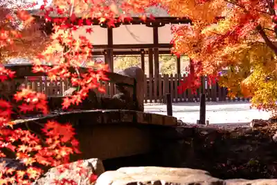 賀茂別雷神社（上賀茂神社）(京都府)