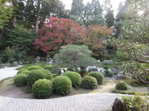 曼殊院門跡の庭園