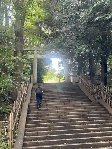 渋谷氷川神社(東京都)