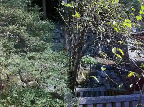 談山神社の自然