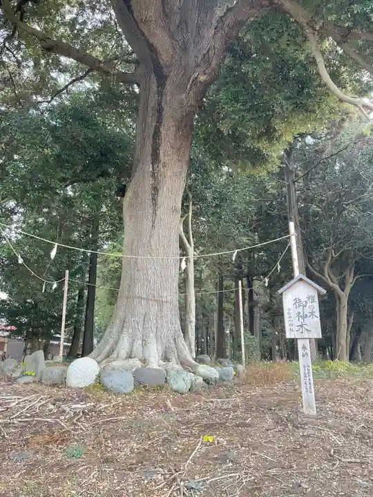 宇都母知神社(神奈川県)