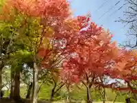 飯野川亀ヶ森八幡神社(宮城県)