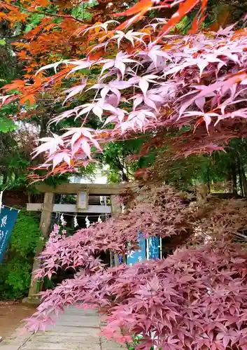 滑川神社 - 仕事と子どもの守り神の鳥居