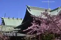 桜神宮(東京都)