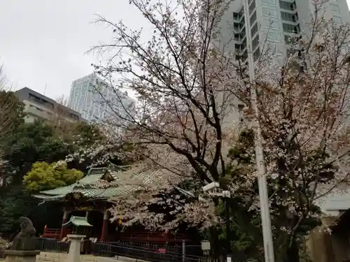 金王八幡宮の自然