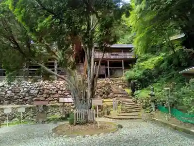 日龍峯寺(高澤観音)(美濃清水)のその他建物