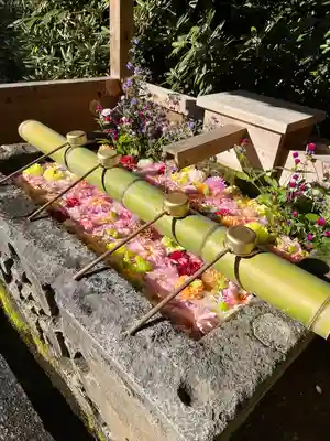 白根神社(群馬県)