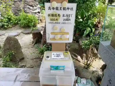 髙帝龍王龍神社(白山宮末社)のおみくじ