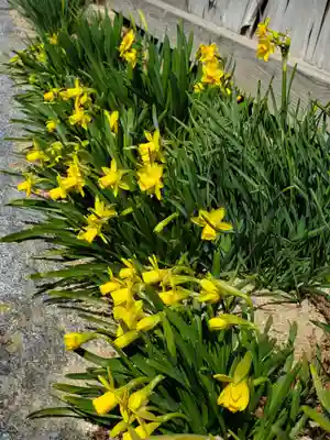 高屋敷稲荷神社(福島県)