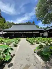 放光寺(山梨県)