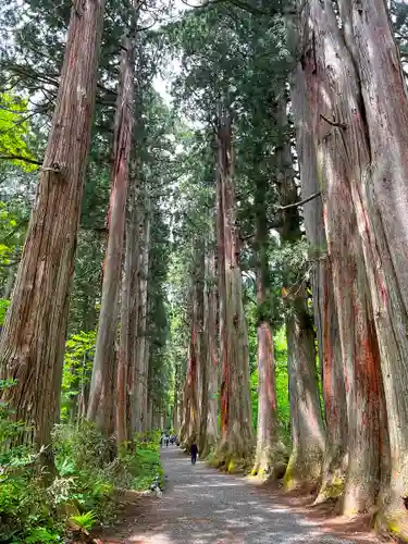 戸隠神社九頭龍社(長野県)
