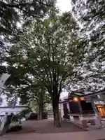 大鳥神社の自然