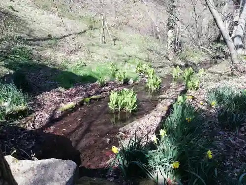 源泉神社の自然