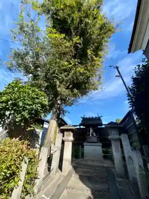 若宮八幡宮(夕涼ノ宮）(京都府)